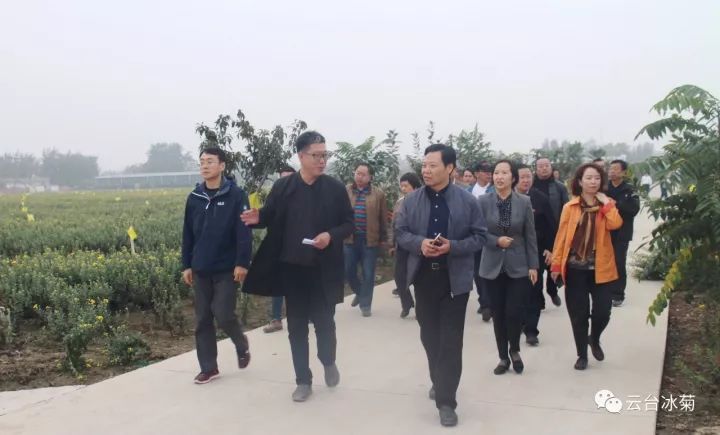 云臺冰菊基地發(fā)生了什么？一批批領導專家團隊前來！